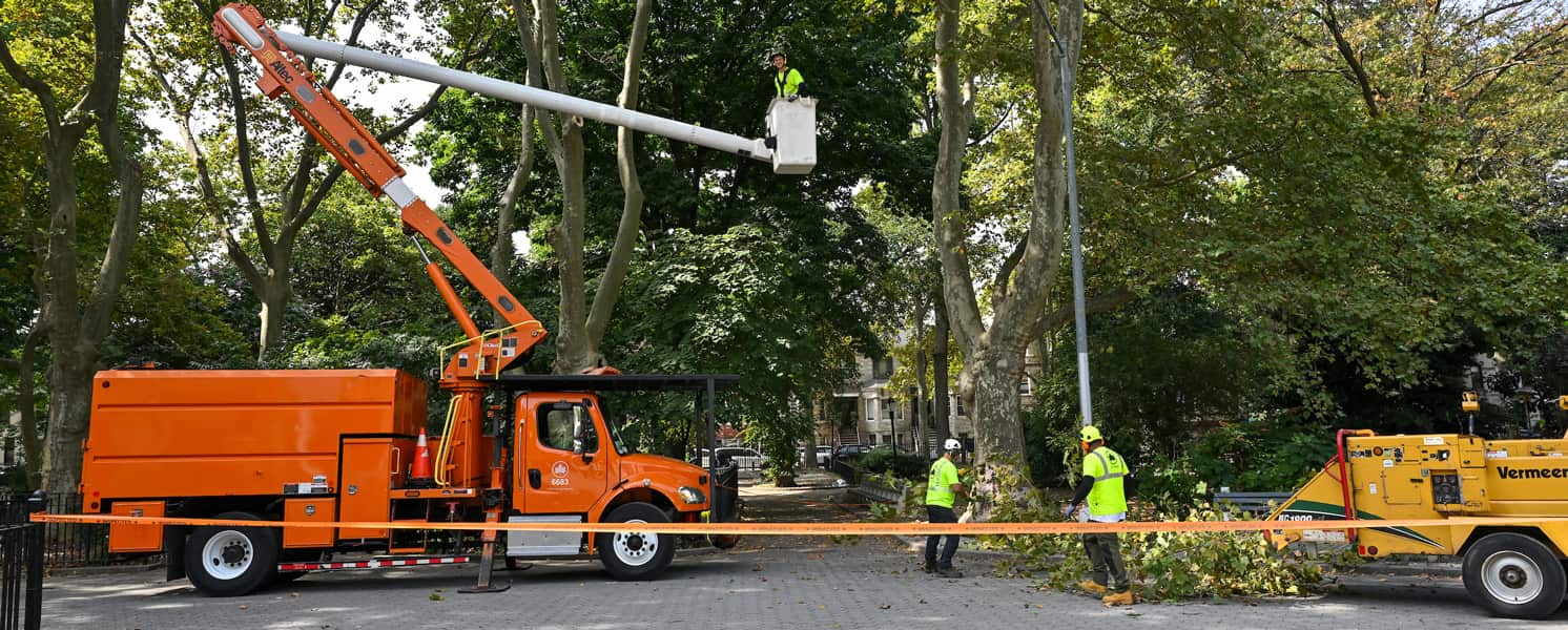 Land and lot clearing service