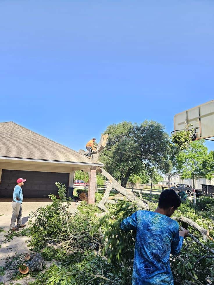 Super Star Tree Service crew ready for dispatch